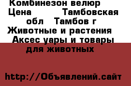 Комбинезон велюр XS › Цена ­ 400 - Тамбовская обл., Тамбов г. Животные и растения » Аксесcуары и товары для животных   